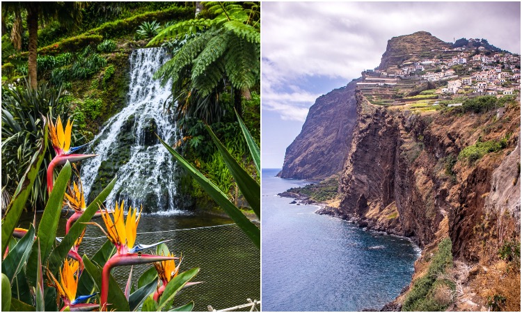 açores e madeira