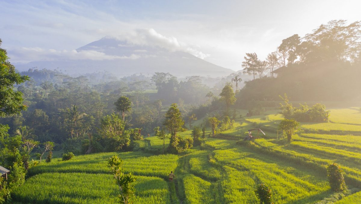 bali