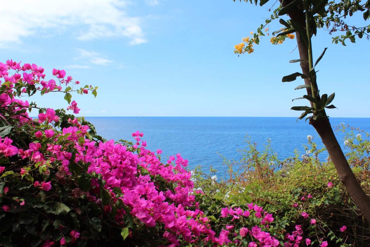 madeira