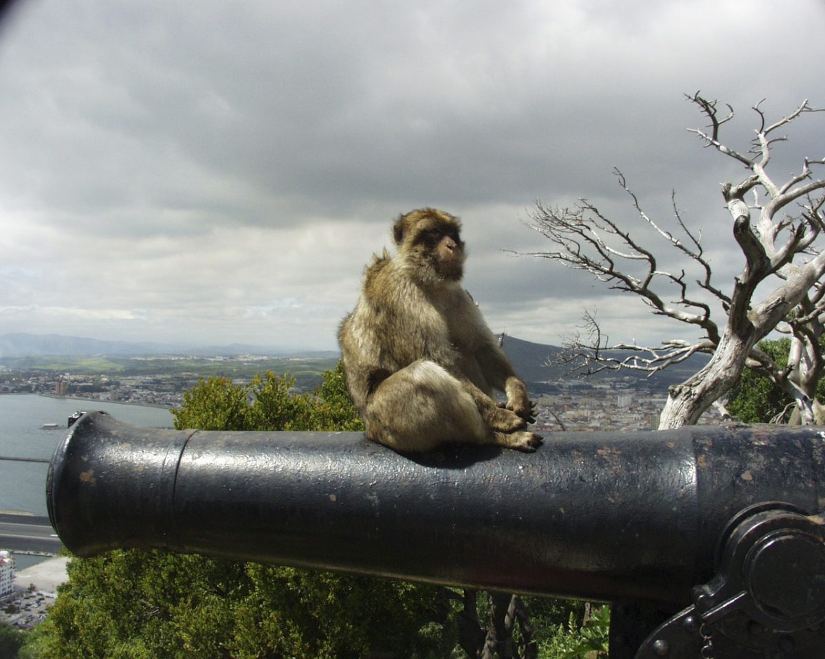 Gibraltar