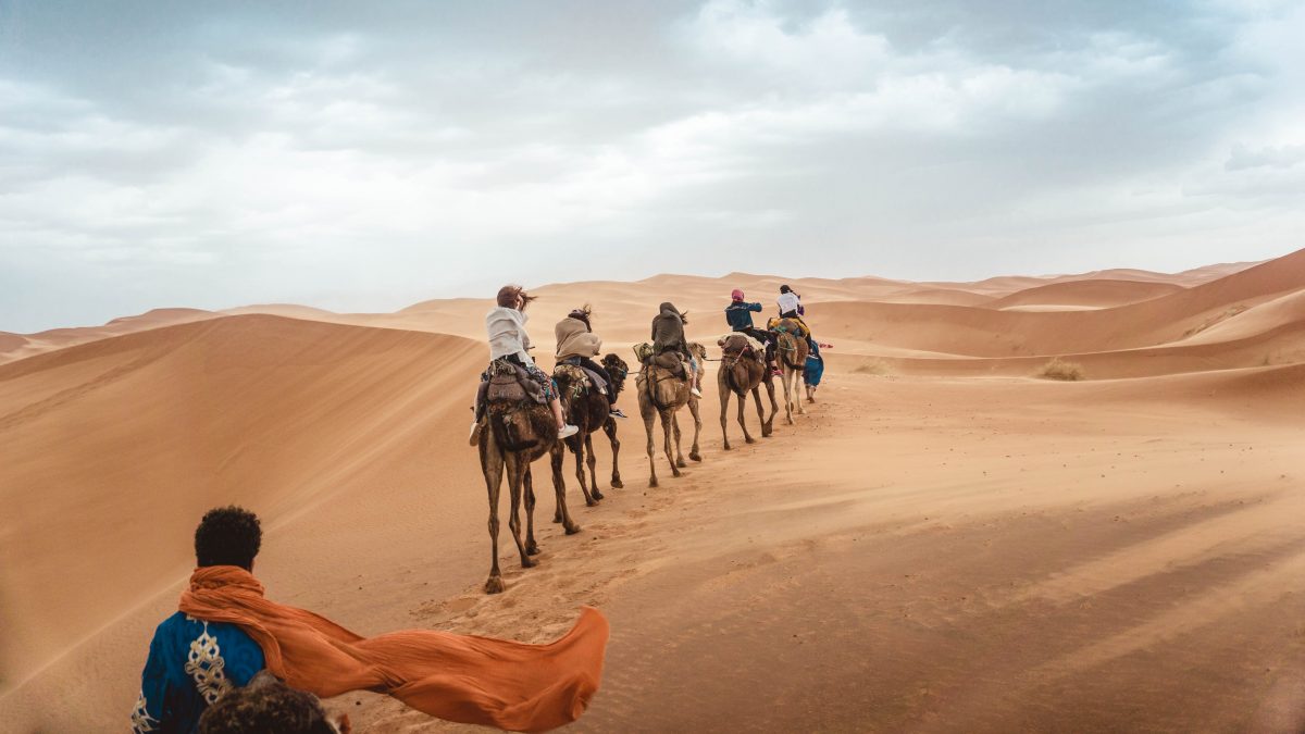 Sahara Tours
